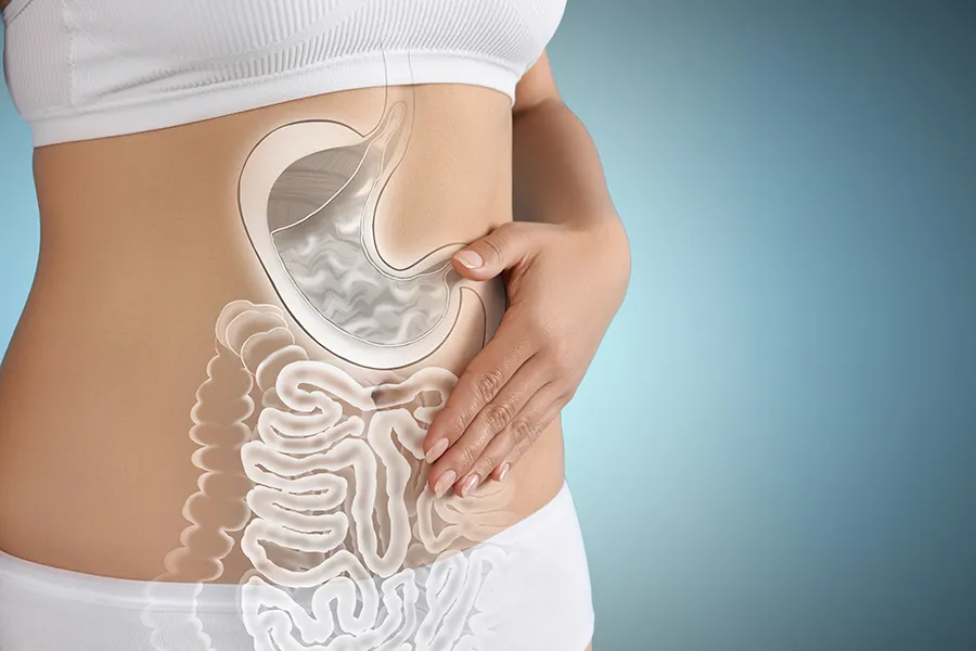 Gut-Health-Doctor Close up of the midriff of a woman with white underwear and an illustration of the digestive system superimposed over the image. Get help for digestive issues and gut health from Delara Tavakoli, M.D. of Tavicare in Chevy Chase.