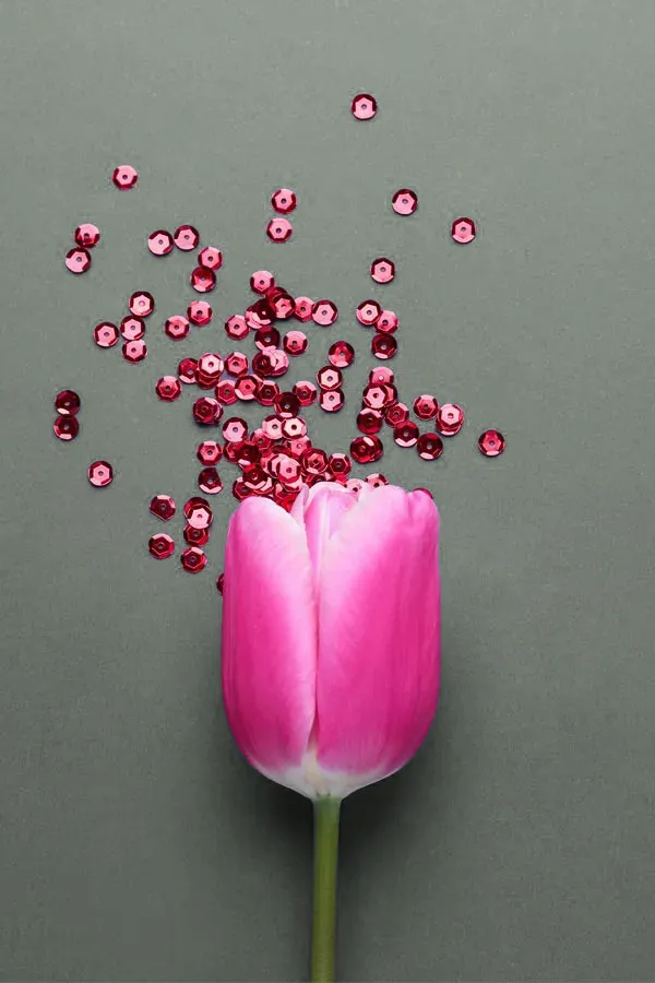 Menstrual-Dysfunction-Care A paper pink rose on a gray background, crumbling into small pieces, representing Menstrual Dysfunction care for women from Delara Tavakoli, M.D. of Tavicare in Chevy Chase.