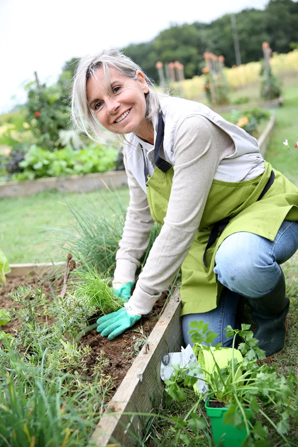 Rheumatoid-Arthritis-Treatment A mature woman bending down working on her garden happily after successful rheumatoid arthritis treatment from Delara Tavakoli, M.D. of Tavicare in Chevy Chase.
